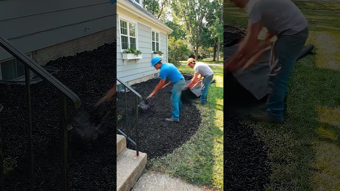 From Boring Grass to Beautiful Garden Bed | Front Yard Makeover πΏπ From Boring Grass to Beautiful Garden Bed | Front Yard Makeover πΏπ