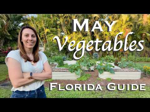 What to Plant in May in Florida | Vegetable Garden Guide What to Plant in May in Florida | Vegetable Garden Guide
