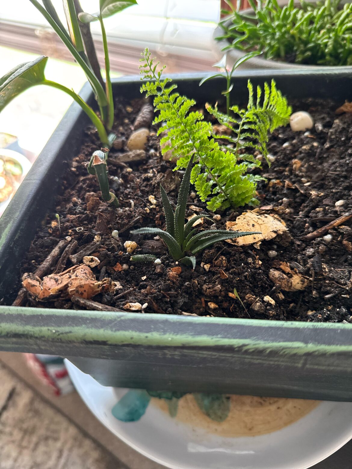 Anyone know what this is?