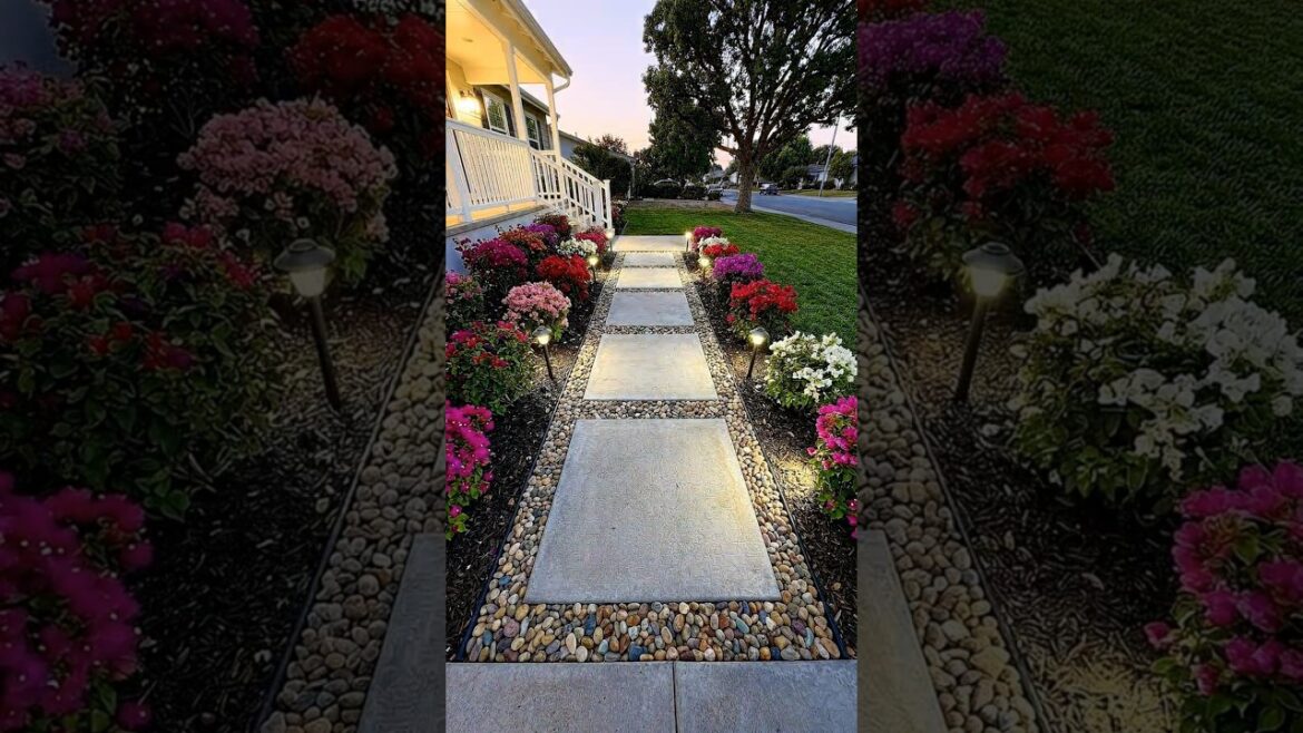 This Front Yard Looks Like a Dream at Night