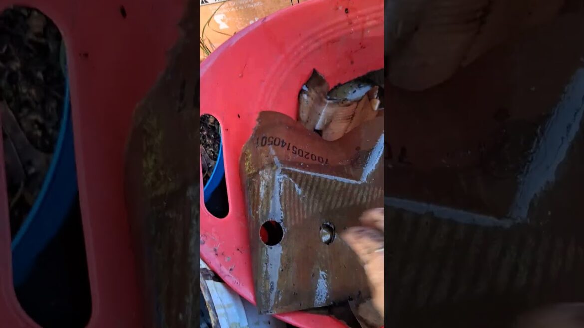Setting up- Three Brothers Red Container Garden