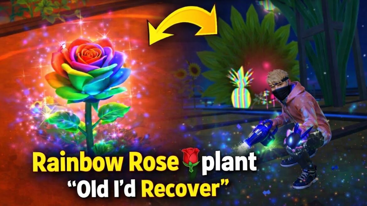 Free Garden 🌈 Rainbow Rose🌹 Plant New Tips 💡 | 100% Working Trick!