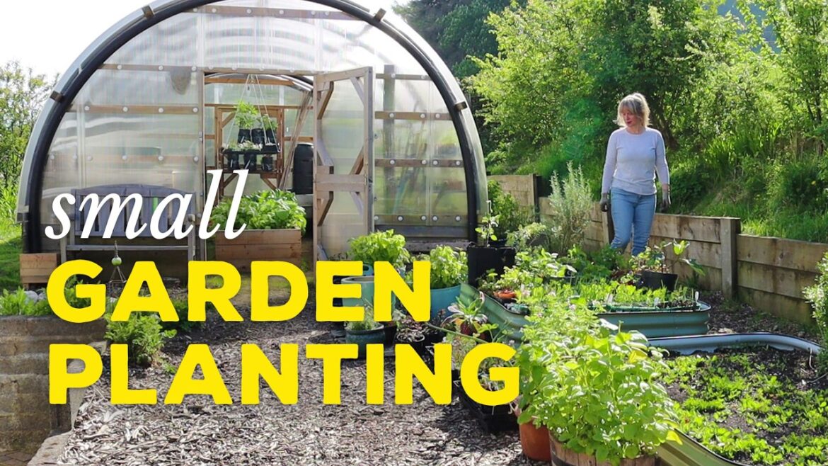 Grow WAY More Food in Less Space (Small Vegetable Garden Series #1) Grow WAY More Food in Less Space (Small Vegetable Garden Series #1)