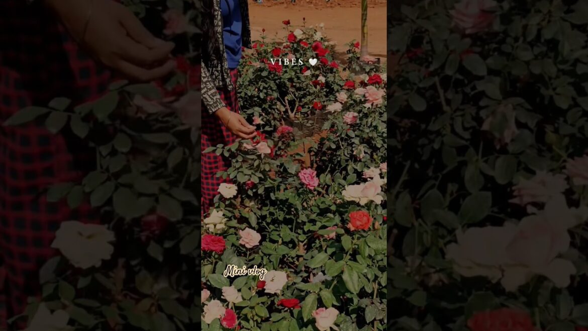 Every gardener needs to see this trick #gardening #flowers #tips