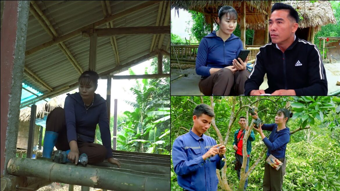 Bamboo chicken coop design Renovating and transforming crops Thuy’s simple life Bamboo chicken coop design_ Renovating and transforming crops_ Thuy's simple life