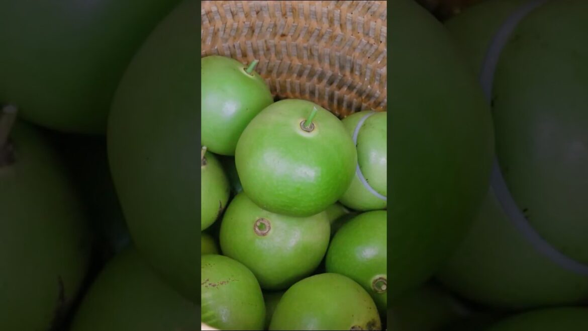 Why Is This Peach Not Edible? Why Is This Peach Not Edible?