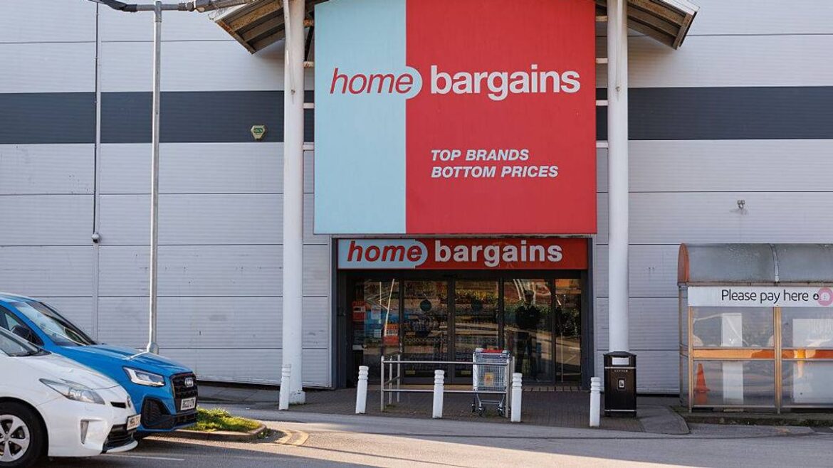 Home Bargains ‘quirky’ £7.99 planter ‘brightens’ the garden Liverpool Echo
