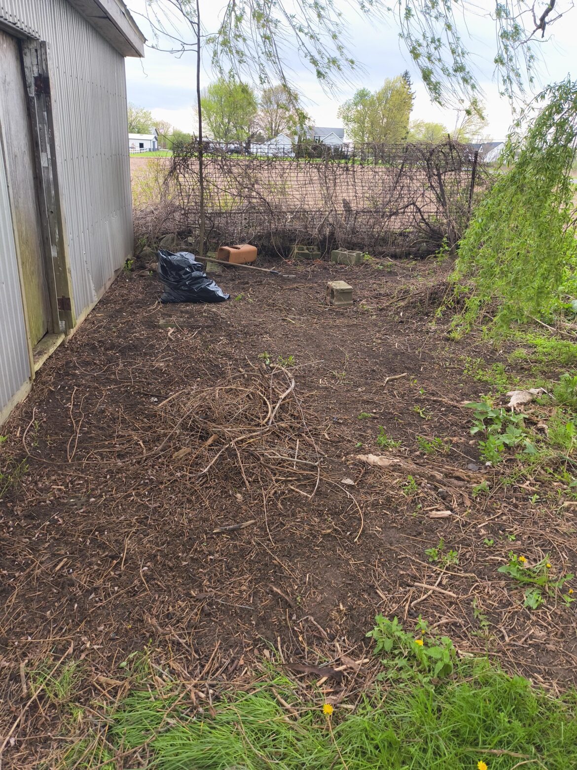 Buffalo, NY. Can I save this? Buffalo, NY. Can I save this?