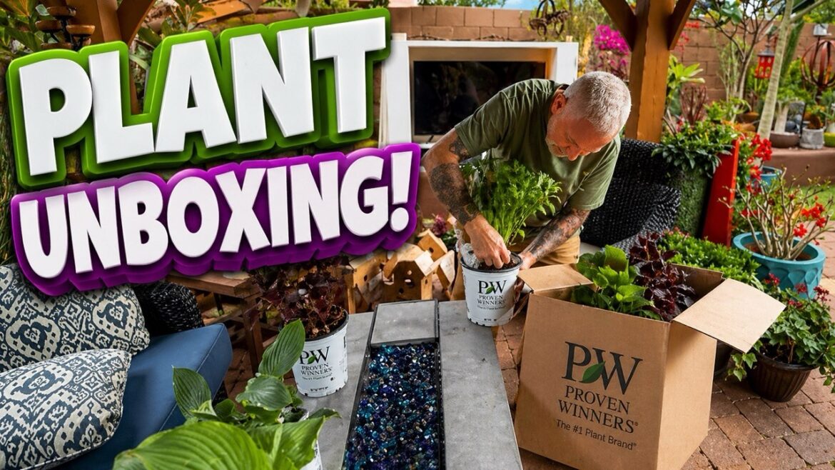 Proven Winners Unboxing + NEW Fountain Install… And a GIANT Rattlesnake?! Proven Winners Unboxing + NEW Fountain Install… And a GIANT Rattlesnake?!