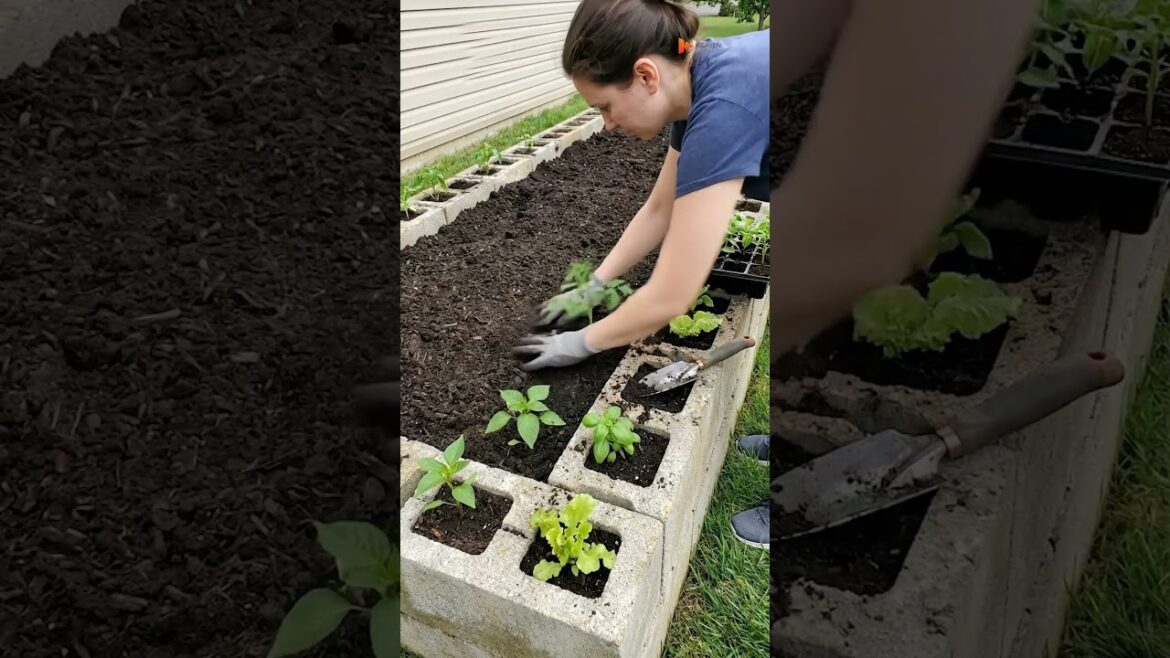 With a few stacked bricks, you can build a great garden #garden #gardening #ideasforlife
