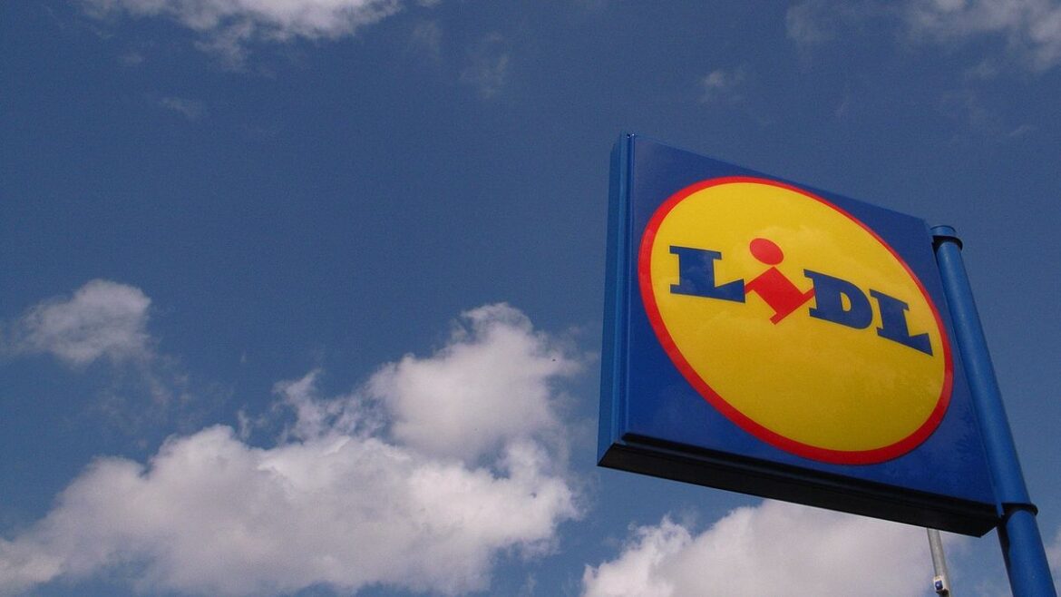 Lidl’s middle aisle to stock essential garden item that’s £180 cheaper than Dunelm Daily Record