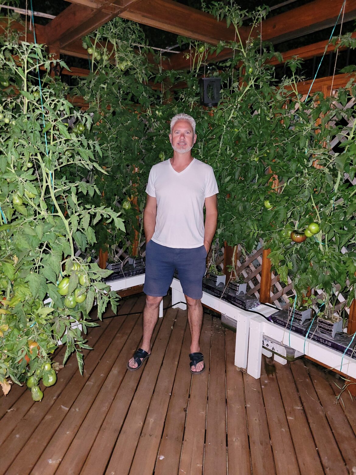 4 years of deck hydroponics —
grew all of this without a single bag of soil 4 years of deck hydroponics —
grew all of this without a single bag of soil