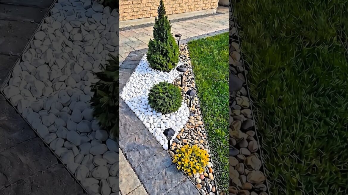 Front Yard Landscaping Ideas 2026 | Beautiful Garden Design with White Stones & Solar Lights #shorts
