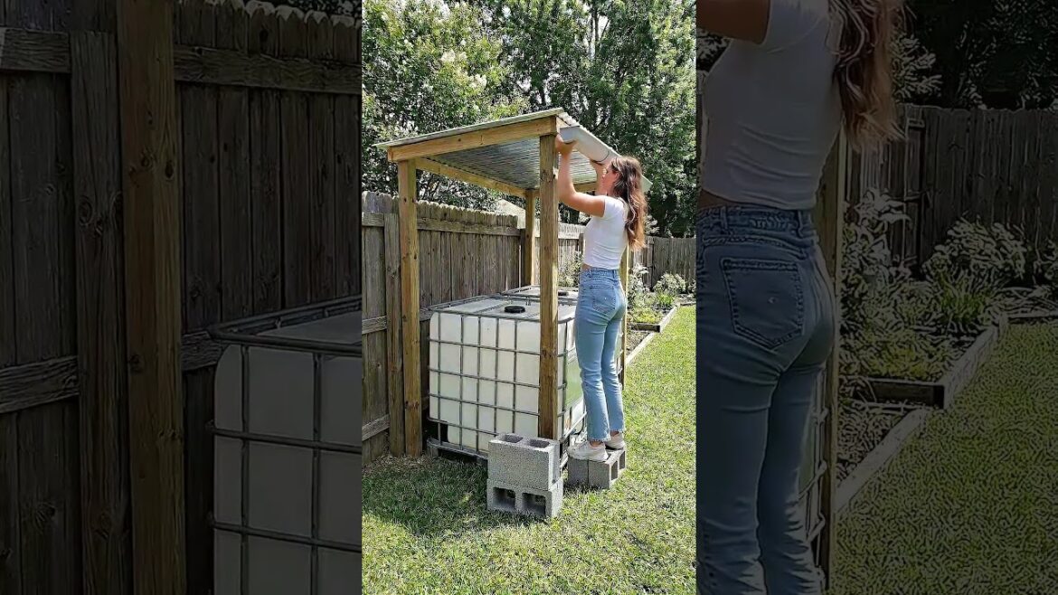 Stop Wasting Rainwater! 🌧️ $50 IBC Tank Setup That Saves You Money 💰 (USA DIY Garden) Stop Wasting Rainwater! 🌧️ $50 IBC Tank Setup That Saves You Money 💰 (USA DIY Garden)