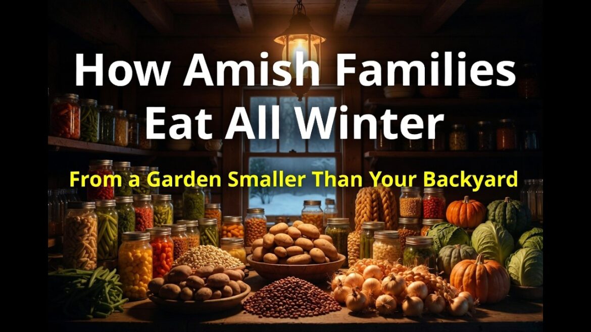 The Amish Garden Secret: 2,500 Sq Ft That Feeds a Family for 3 Winters