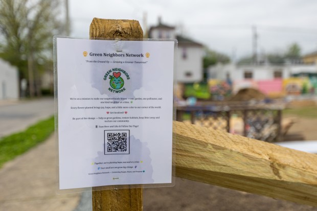 An information paper at a community garden in Kingston on Wednesday, April 29, 2026. (JASON ARDAN / STAFF PHOTOGRAPHER)