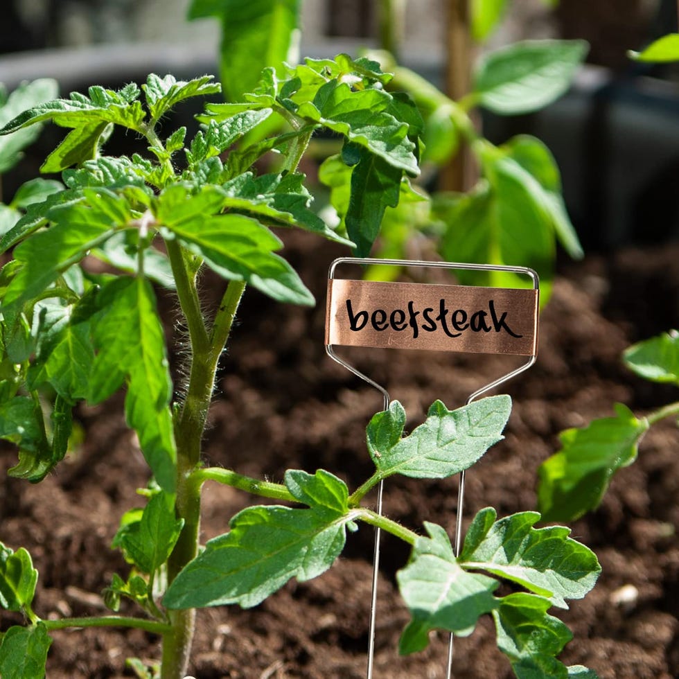 Metal Plant Labels for Garden Metal Plant Labels for Garden
