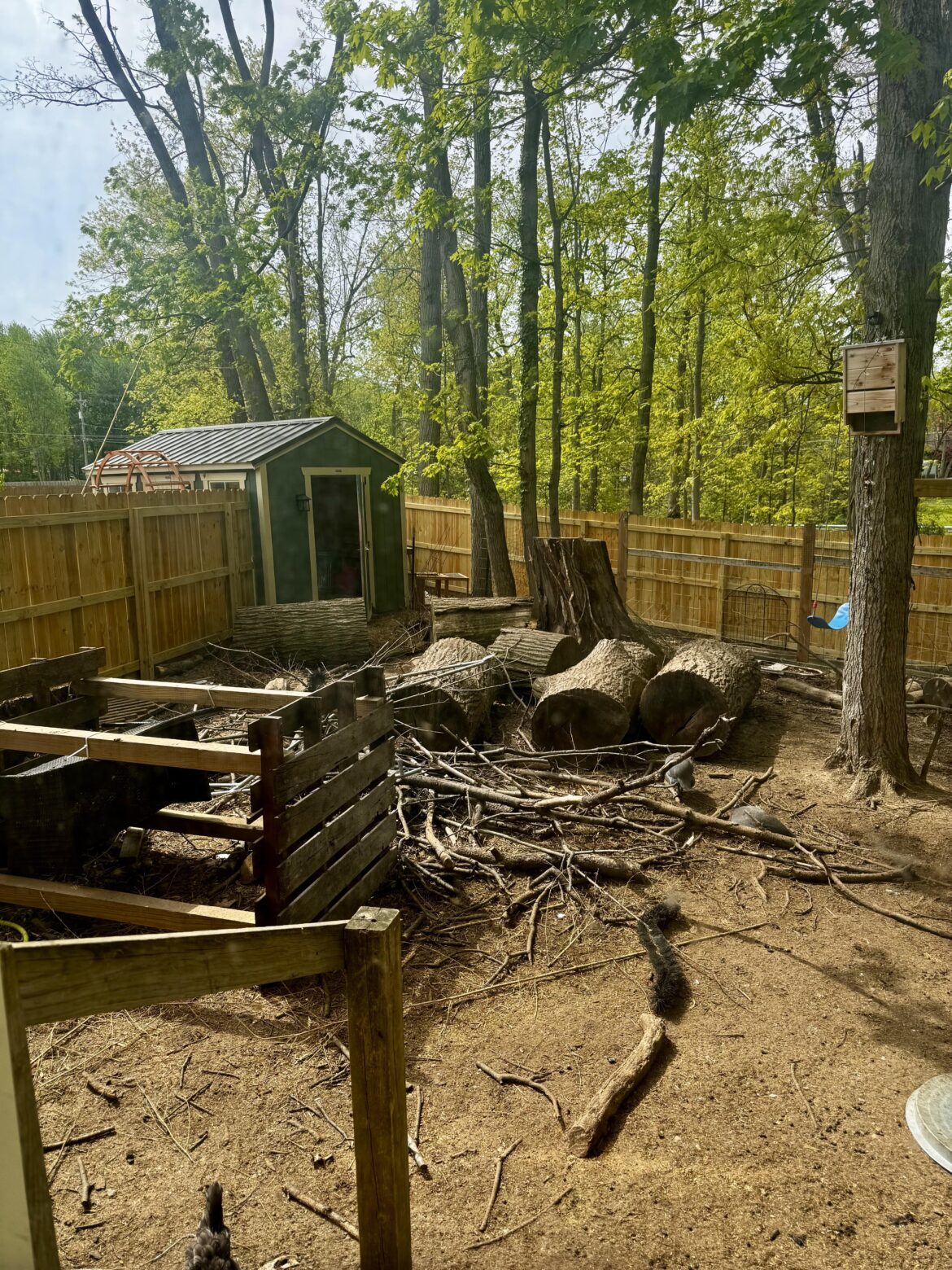 Big ol’ fat oak logs - how would you use them to build raised beds?