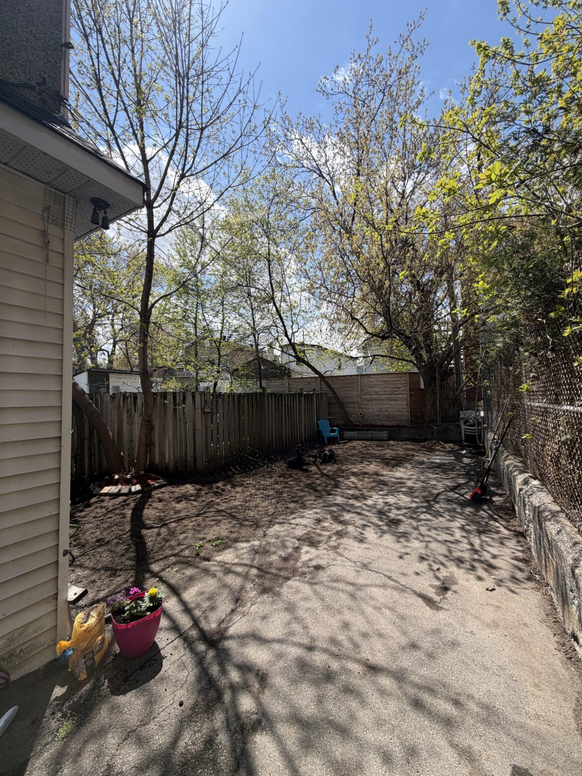 Landscaping Advice Landscaping Advice