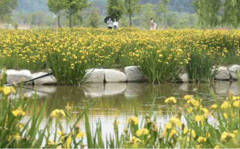 Spring comes alive at Geochang Changpowon Gardens Spring comes alive at Geochang Changpowon Gardens