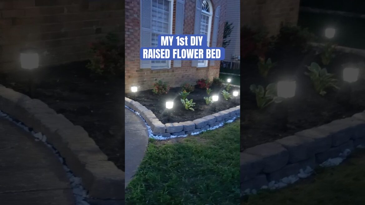 My First Project With My Man went a little something like this…complete transformation Part 3!