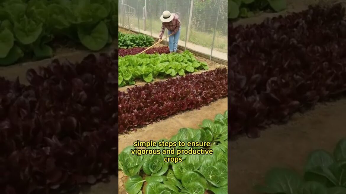 How to make home made nutrient soil? #gardening