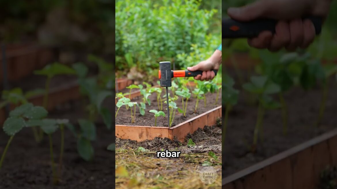 Do These Actually Help? Viral Gardening Hacks Test Do These Actually Help? Viral Gardening Hacks Test