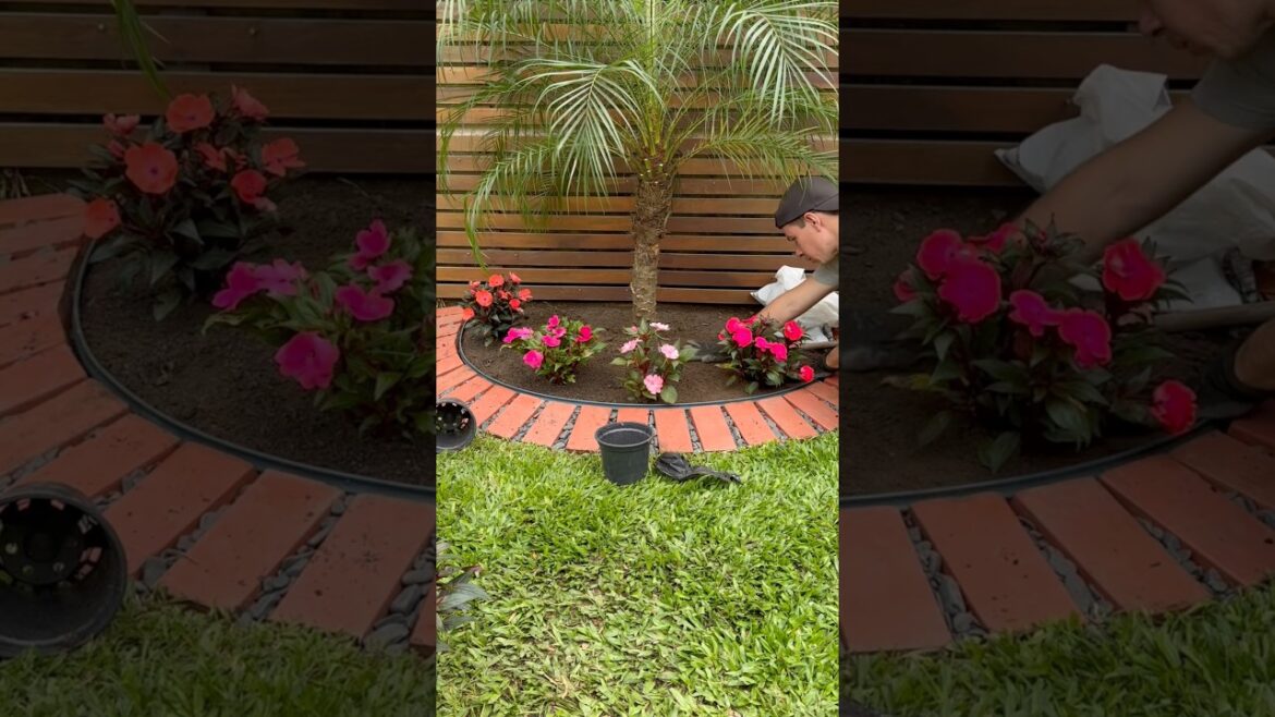 Garden decor for small spaces! Easy DIY ๐ด #garden #diy #flowers Garden decor for small spaces! Easy DIY ๐ด #garden #diy #flowers