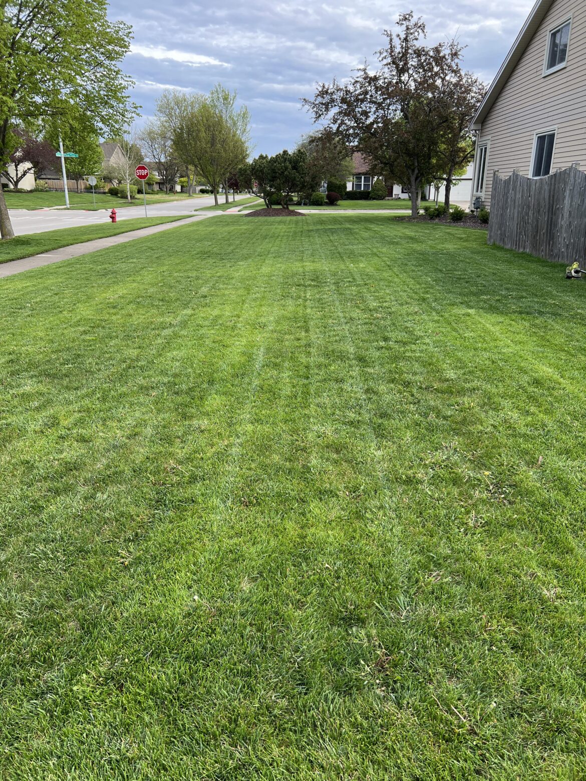 Far from perfect, but it looks ok from the street.