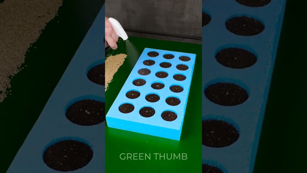 DIY gardening tools to speed up planting 😲