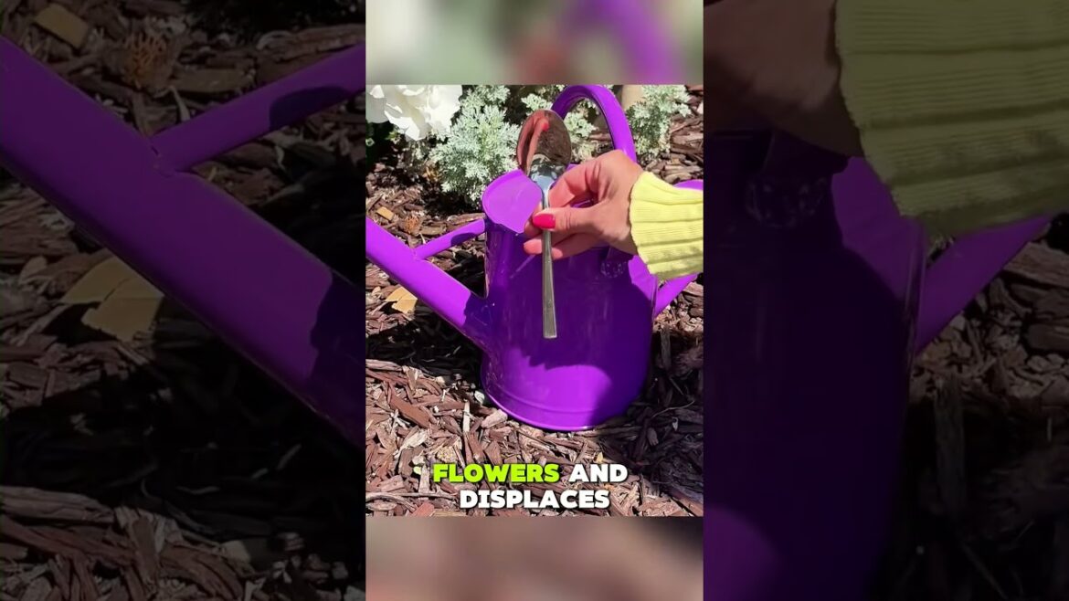 Grandma’s Secret Gardening Hacks You Need to Know! 🌱 Grandma's Secret Gardening Hacks You Need to Know! 🌱