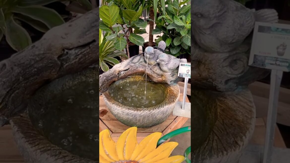 Are you a big fan of beautiful gardens like me #foryou #ytshorts #garden # #home