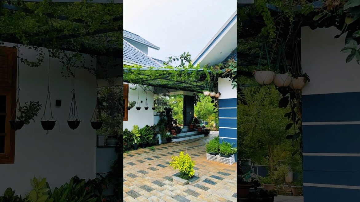 garden vibes🍃🌿🤍 #gardening #wind #outdoordecor