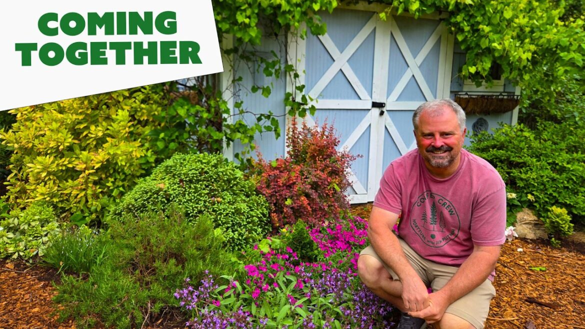 Big Progress! - Jim's Garden Game Plan