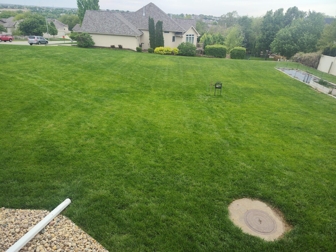 Put a lot into my yard the past 3 years, from a dandelion garden to a pretty decent piece of turf. Just wondering what the patchy lighter green spots are? Zone 5b in NE Put a lot into my yard the past 3 years, from a dandelion garden to a pretty decent piece of turf. Just wondering what the patchy lighter green spots are? Zone 5b in NE