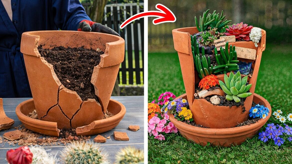 🌼 Unlocking the Hidden Secrets of Garden Magic! ✨🌿