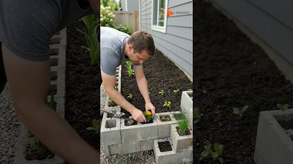 Stack some bricks and turn it into a garden #gardening #gardeningtips #growyourownfood