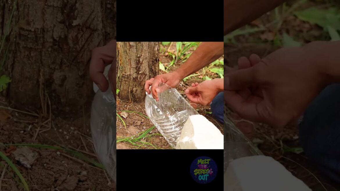 DIY Organic Pest Control: Chemical-Free Garden 🥬 DIY Organic Pest Control: Chemical-Free Garden 🥬