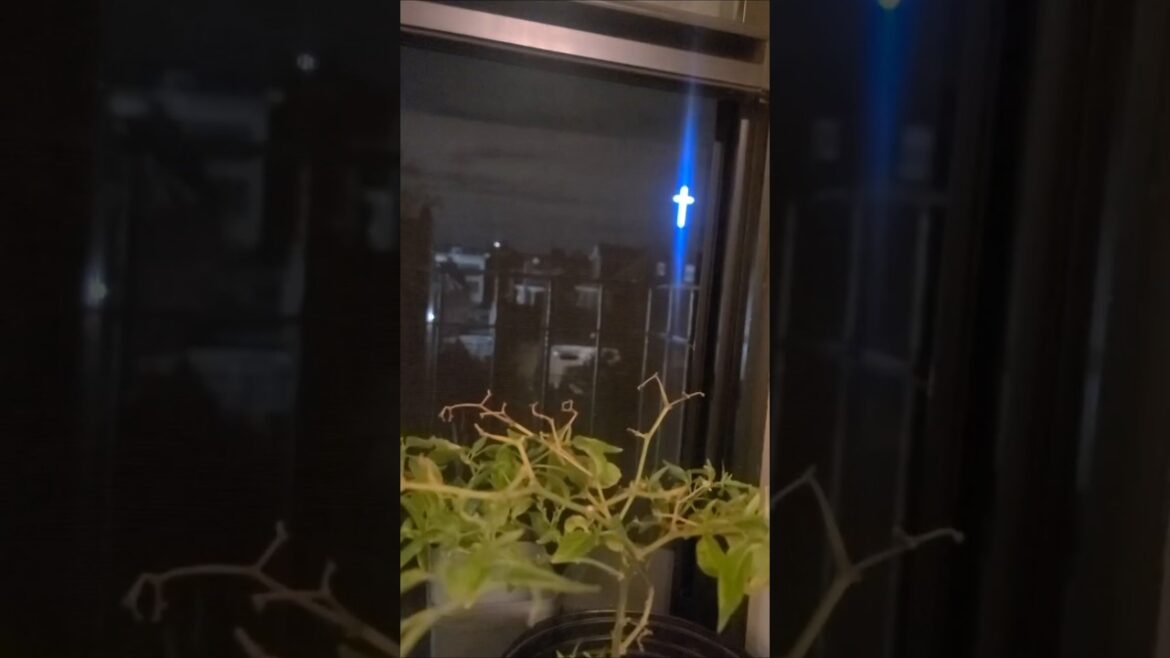 My peppers are getting religious.