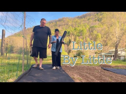 Little by Little | Real Life Yard & Garden Progress Little by Little | Real Life Yard & Garden Progress