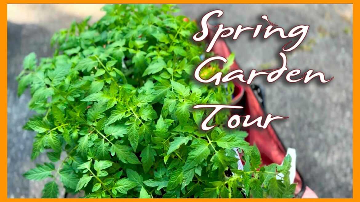 Kaye Kittrell: Planting TOMATOES & Spring Garden TOUR Planting TOMATOES & Spring Garden TOUR