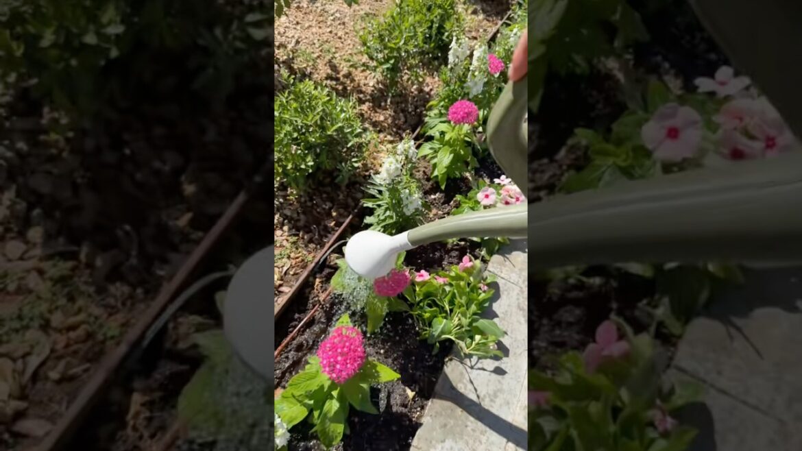 Day in the life of a luxury gardener