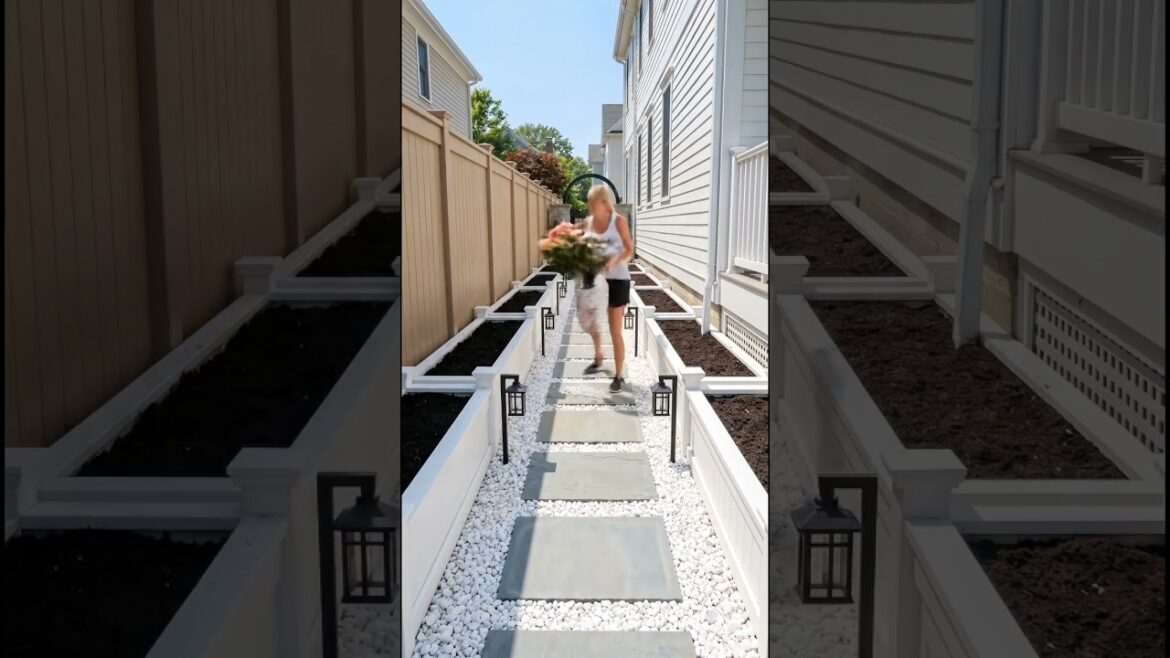 Narrow Side Yard Garden Pathway Transformation