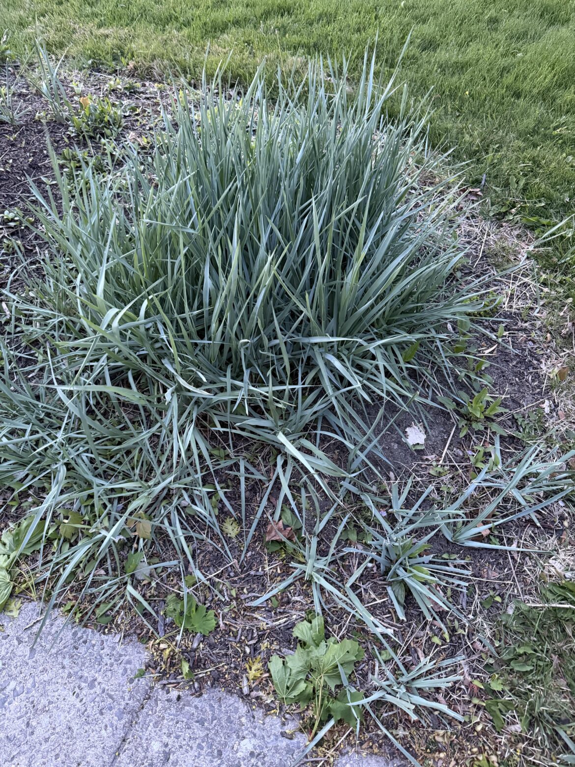 How do I stop this from spreading?