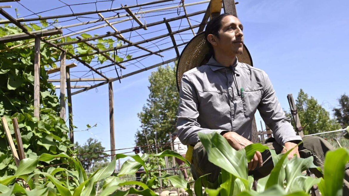 Yo’Ville community garden wins $500,000 USDA grant Yo’Ville community garden wins $500,000 USDA grant