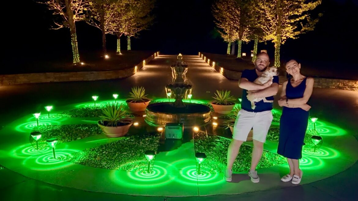 Front Yard Lights Makeover | Linkind SP6 Solar Light | Heghineh