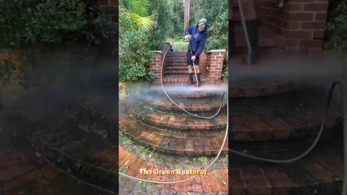 Cleaning | Pressure Washing | Cutting | Landscaping | Trimming #shorts #satisfying #gardening