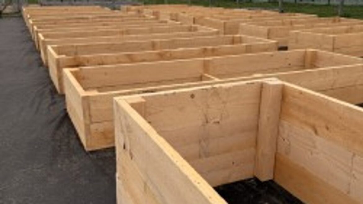 New beds at Casco Bay Community Garden set to be filled, planted soon station icon