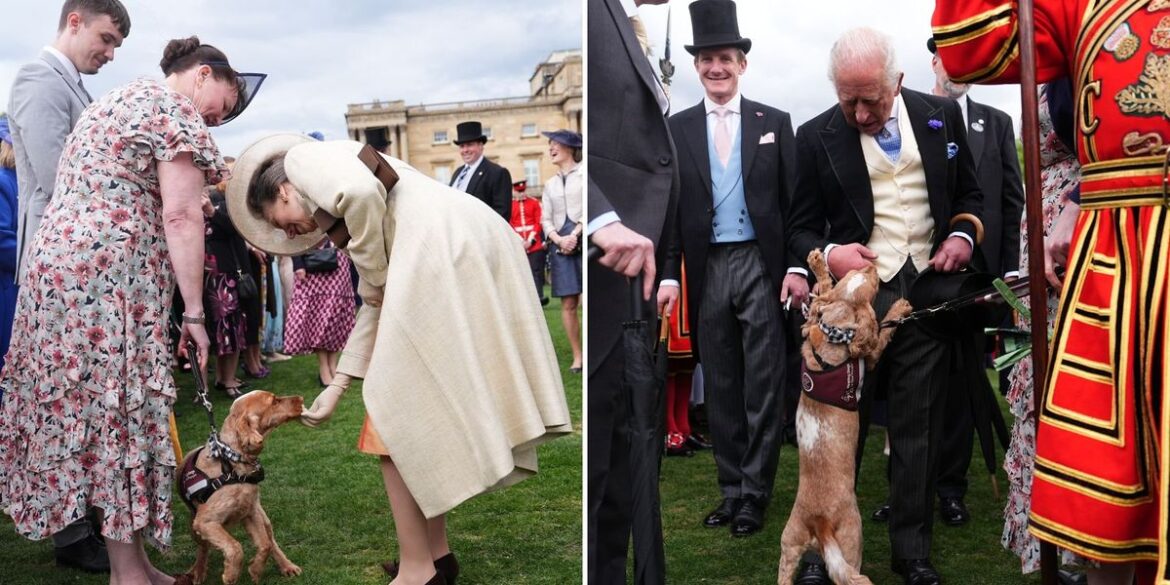 Buckingham Palace garden party: Surprise guest takes centre stage