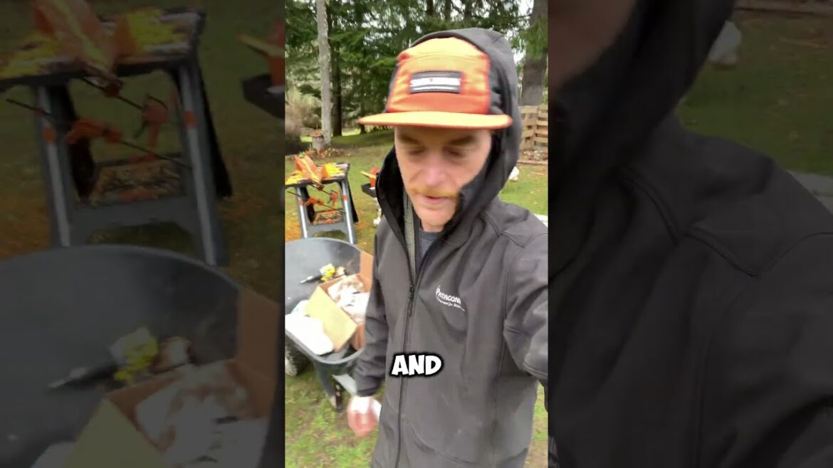Best place on earth to ‘forage’ mushrooms? Best place on earth to ‘forage’ mushrooms?